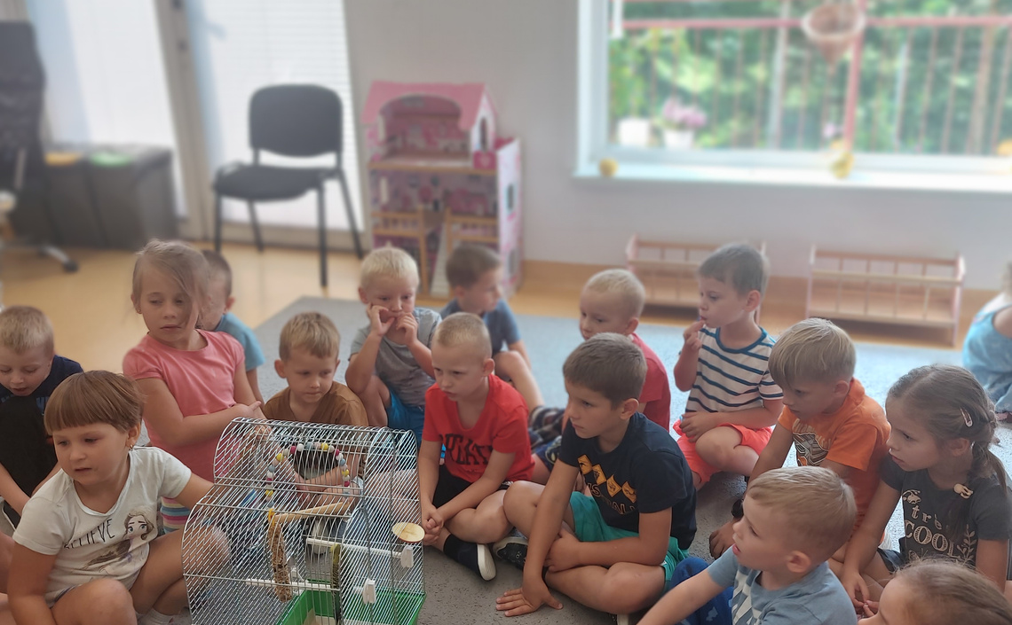 Papużka Lusiek u Biedroneczek