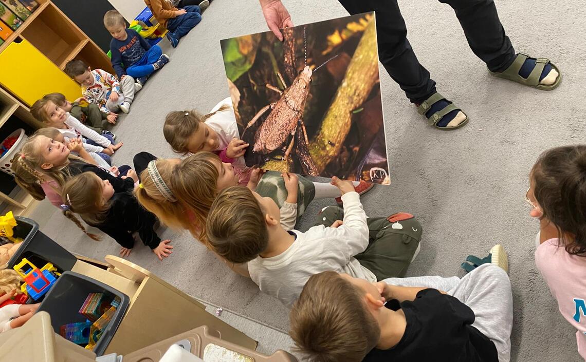 Spotkanie z pasikonikami- grupa Żabki 🐸